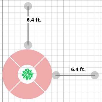 Floorplan Layout